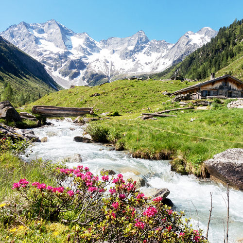 Vacations in the Pillerseetal - Kitzbühel Alps