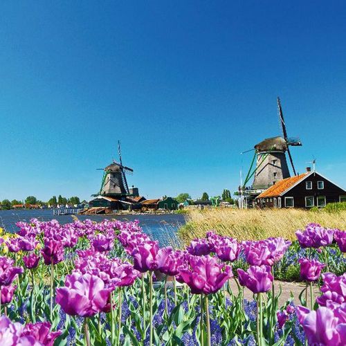 Best of Holland